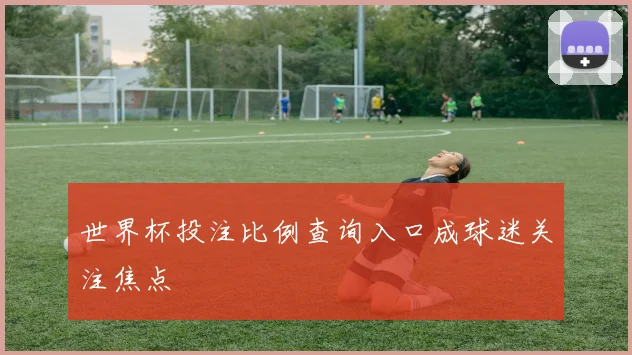 世界杯投注比例查询入口成球迷关注焦点