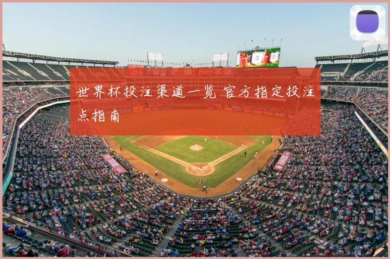 世界杯投注渠道一览 官方指定投注点指南