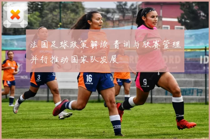 法国足球政策解读 青训与联赛管理并行推动国家队发展