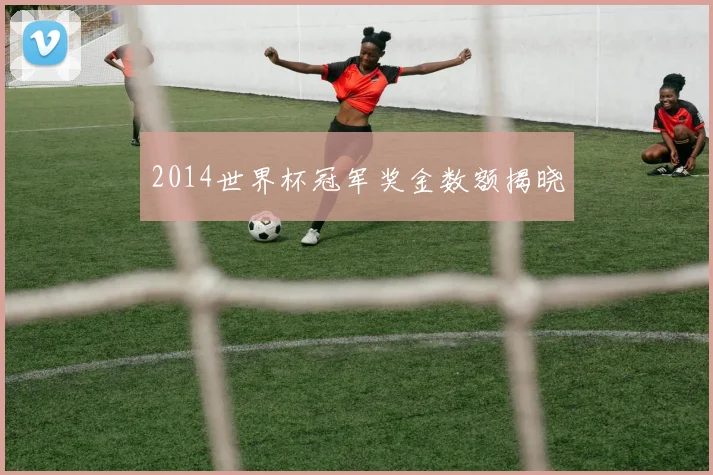2014世界杯冠军奖金数额揭晓