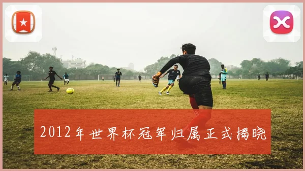 2012年世界杯冠军归属正式揭晓