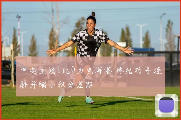 申花主场1比0力克海港 终结对手连胜并缩小积分差距