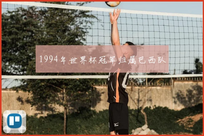 1994年世界杯冠军归属巴西队