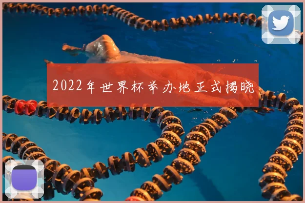 2022年世界杯举办地正式揭晓