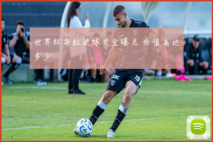 世界杯每粒进球奖金曝光 价值高达多少