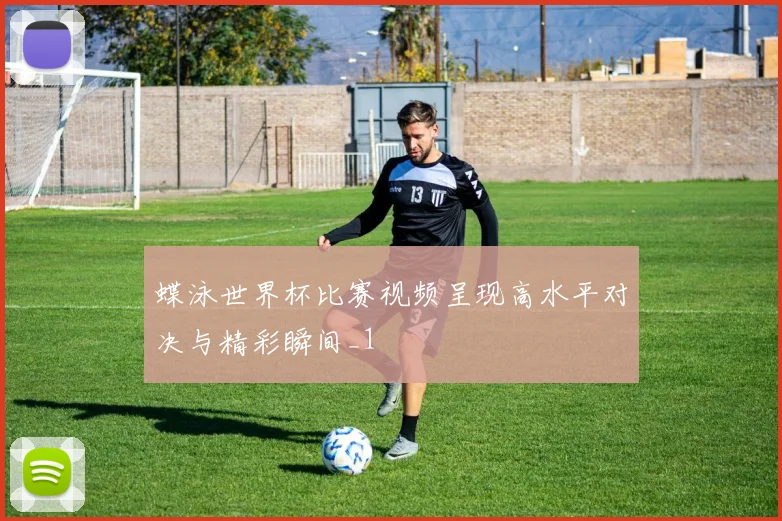 蝶泳世界杯比赛视频呈现高水平对决与精彩瞬间_1